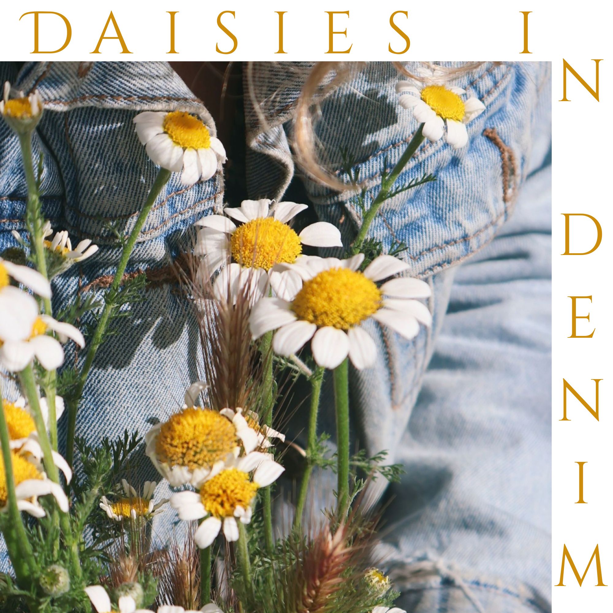 Daisies in Denim